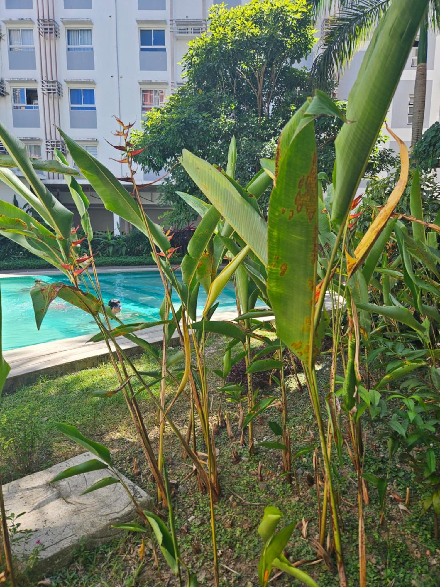 2-Bedroom Boutique City Condo - Newly Renovated! Cebu Exterior photo