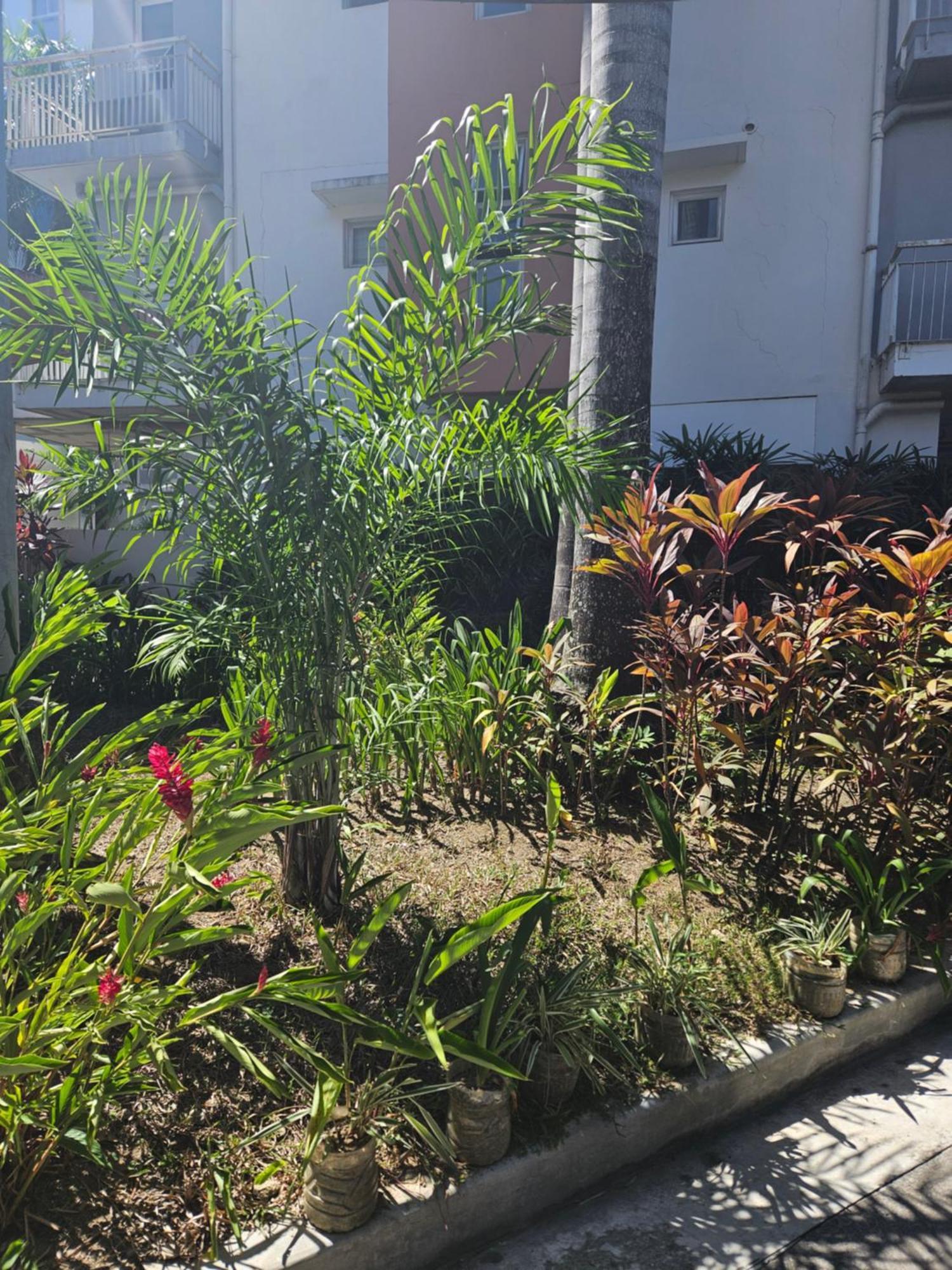 2-Bedroom Boutique City Condo - Newly Renovated! Cebu Exterior photo